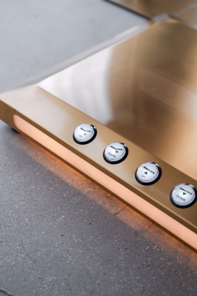 Electra Plus Deluxe Electra Plus Deluxe