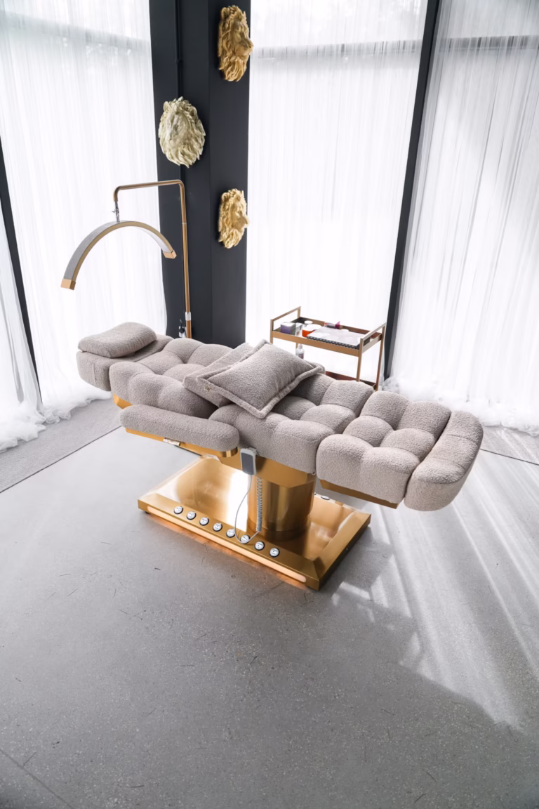 Electra Plus Deluxe Electra Plus Deluxe